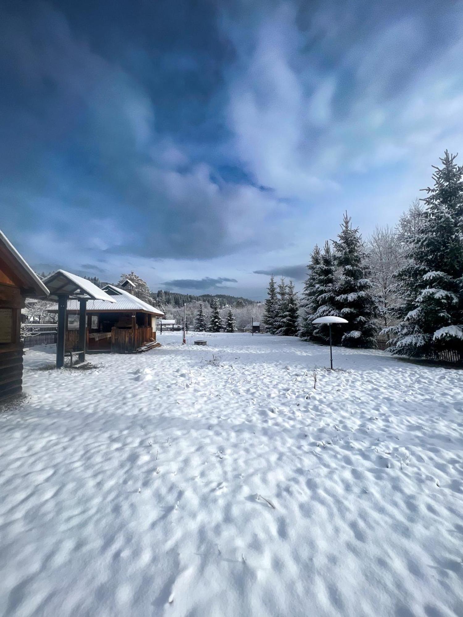 Shum Cheremosha Guest house 3*